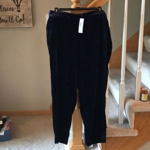 J. Crew Pull-on Velvet Pant, Size 12